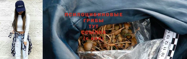 соль ск Армянск