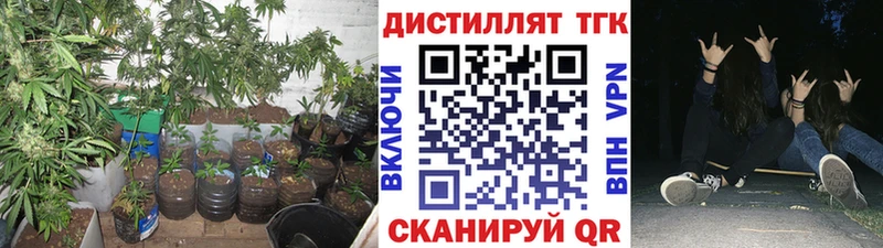 ТГК гашишное масло  Купить где  Торжок 